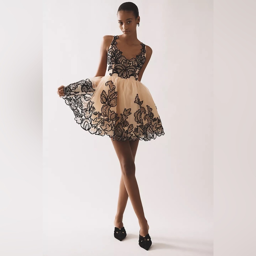 NWT! Anthropologie Maeve Sleeveless V-Neck Lace Fit & Flare Mini Dress - 14 🎶